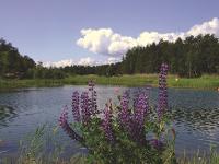 Schweden, Landschaft, Sommer