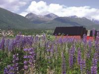 Norwegen, Batnfjord, Batnfjorden, Fjord, Möre og Romsdal