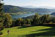 Österreich, Kärnten, Ossiacher See, Landschaft, Panorama