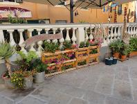 Italien, Toskana, Livorno, Insel Elba, Isola d