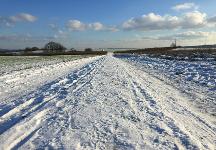 Deutschland, Hessen, Mittelhessen, Winter, Eis, Schnee, Natur, Kalt, Landschaft, Himmel, Pflanzen