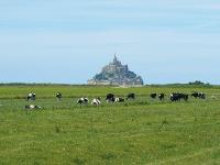Frankreich, Normandie, Le Mont-Saint-Michel, Insel, Burg, Wattenmeer, Küste, Landschaft, Natur